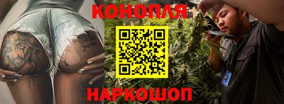 гашик Малоярославец