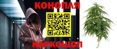гашик Малоярославец