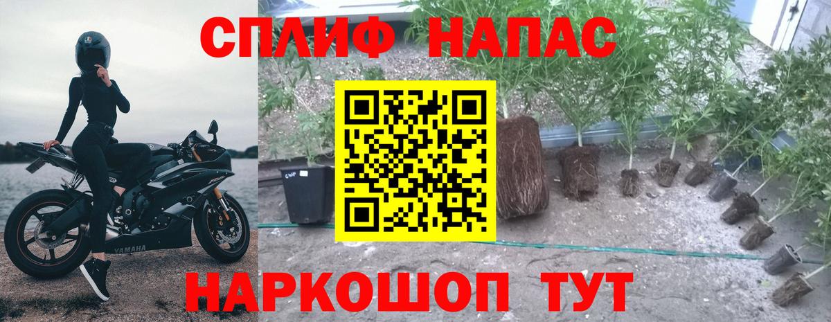 МАРИХУАНА индика Жигулёвск